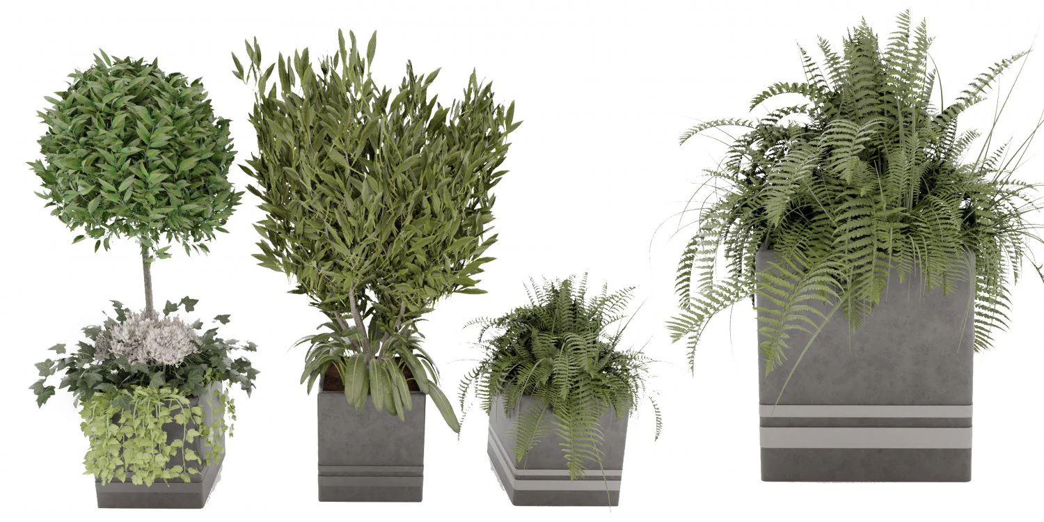 Collection Plant Vol 31 3D Model .c4d .max .obj .3ds .fbx .stl .blend