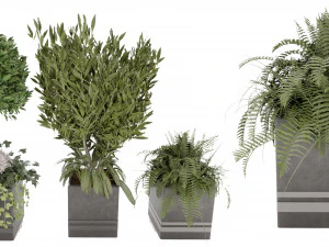 Plante de collecte Vol 31 Modèle 3D