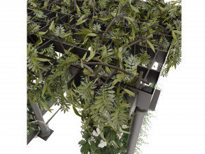 Collection Plant Vol 33 3D Модель