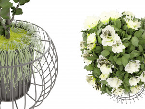 Collection Plant Vol 37 - Blender Model Modello 3D