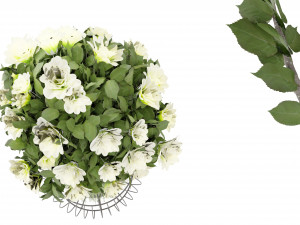 Collection Plant Vol 37 - Blender Model Modello 3D