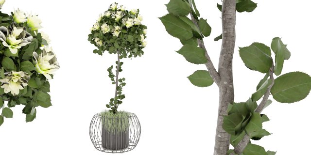 Collection Plant Vol 37 - Blender Model Modello 3D .c4d .max .obj .3ds .fbx .stl .blend