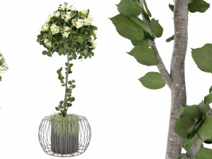 Collection Plant Vol 37 - Blender Model 3D Модель
