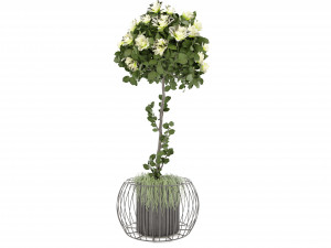 Collection Plant Vol 37 - Blender Model Modello 3D
