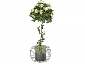 Collection Plant Vol 37 - Blender Model 3D Model