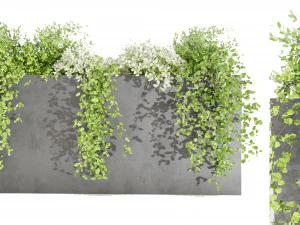 Collectie Plant Vol 48 3D Model