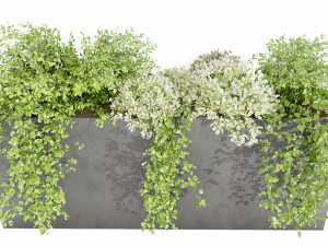Collection Plant Vol 48 3Dモデル