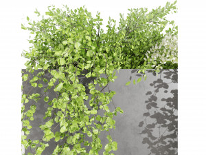 Collection Plant Vol 48 3Dモデル