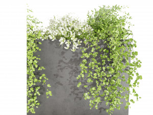 Collection Plant Vol 48 3Dモデル