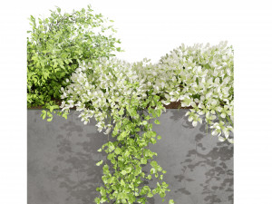 Collection Plant Vol 48 3Dモデル
