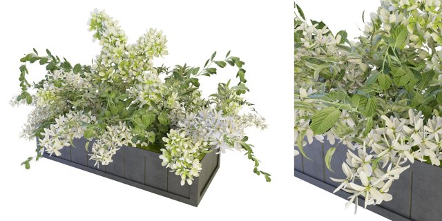 Collection Plant Vol 52 - Blender Model 3D Model .c4d .max .obj .3ds .fbx .stl .blend 