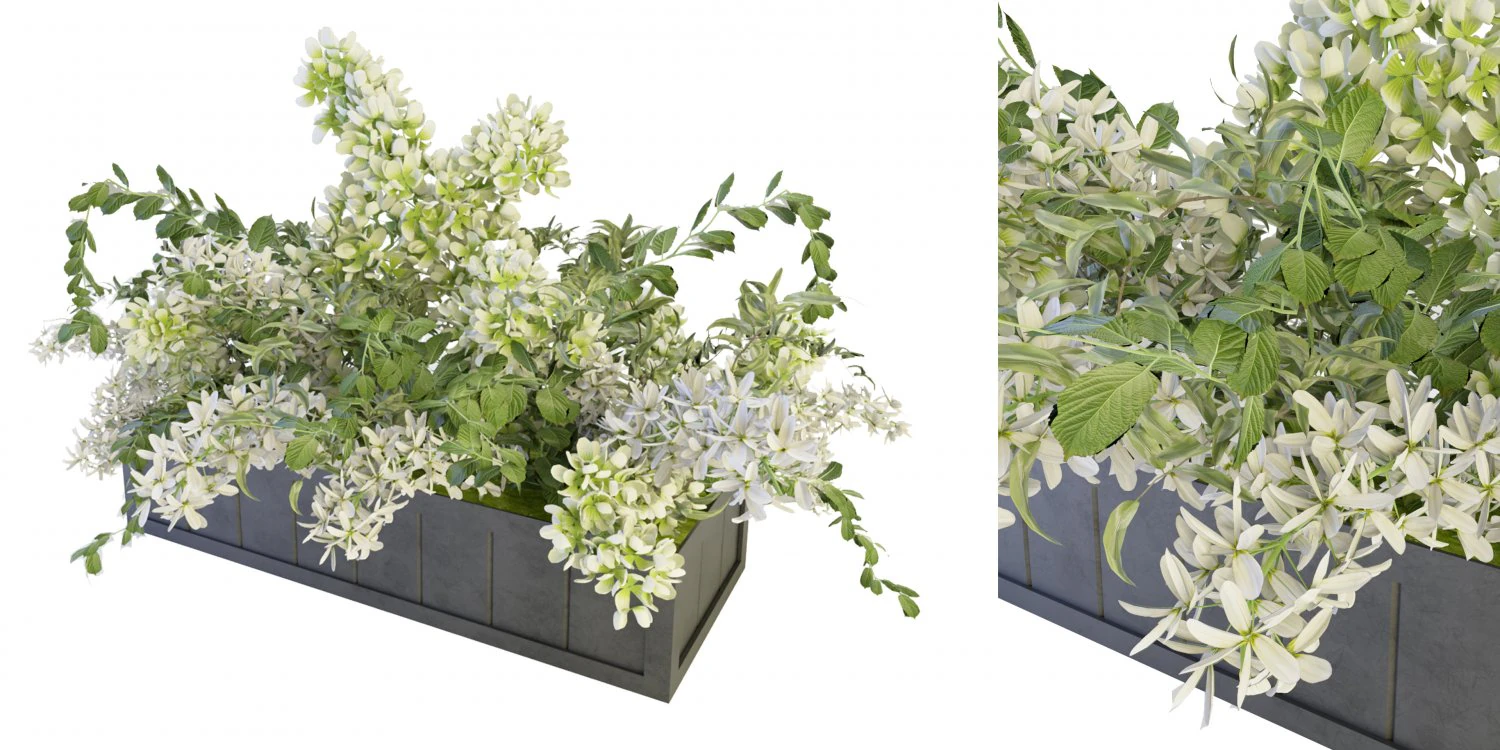 Collection Plant Vol 52 - Blender Model 3D Model .c4d .max .obj .3ds .fbx .stl .blend 