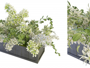 Collection Plant Vol 52 - Blender Model 3D-Modell