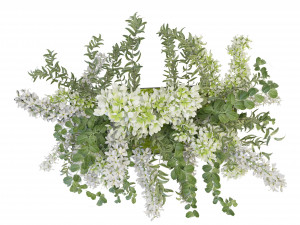 Collection Plant Vol 52 - Blender Model 3D Model