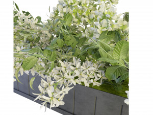 Collection Plant Vol 52 - Blender Model 3D Model