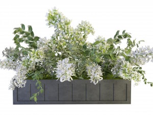 Collection Plant Vol 52 - Blender Model 3D Model