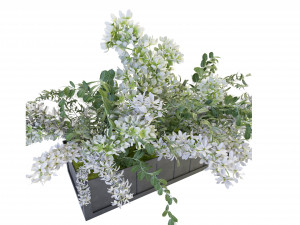 Collection Plant Vol 52 - Blender Model 3D Model