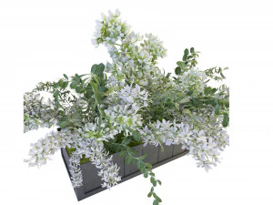 Collection Plant Vol 52 - Blender Model 3D Model