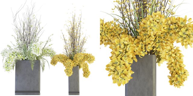 Collection Plant Vol 56 -Blender Model 3D 模型 .c4d .max .obj .3ds .fbx .stl .blend 