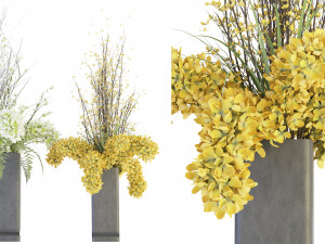 Collection Plant Vol 56 -Blender Model Model 3D