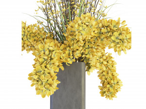 Collection Plant Vol 56 -Blender Model 3D 模型