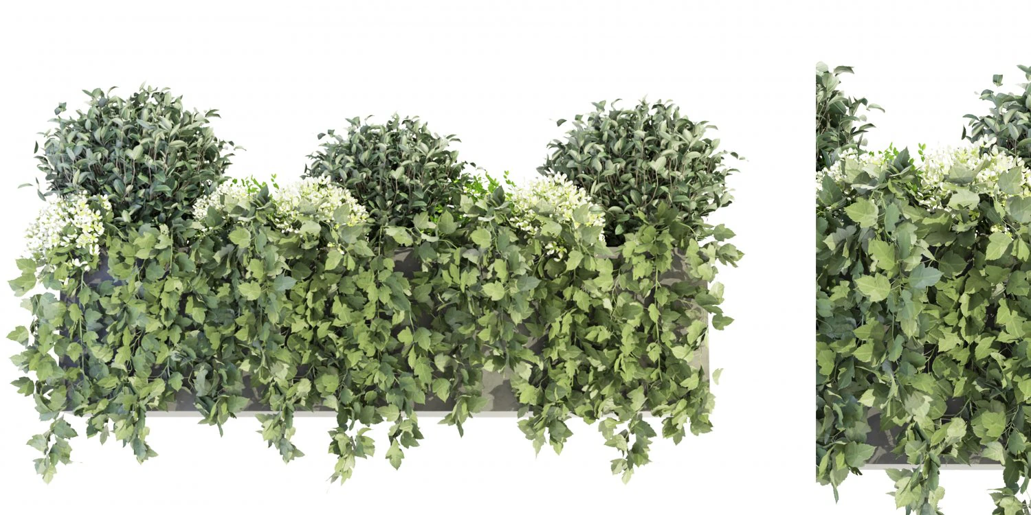 Collection Plant Vol 57 - Blender Model 3D Model .c4d .max .obj .3ds .fbx .stl .blend 
