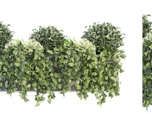 Collection Plant Vol 57 - Blender Model 3D Model