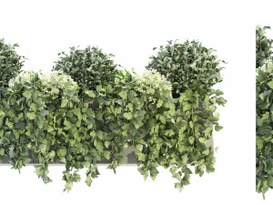 Cole&ccedil;&atilde;o Plant Vol 57 - Modelo Blender Modelo 3D