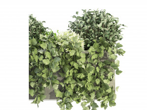Collection Plant Vol 57 - Blender Model 3D Модель