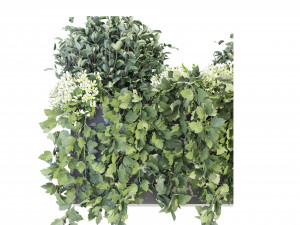 Collection Plant Vol 57 - Blender Model 3D Модель