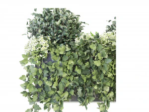 Collection Plant Vol 57 - Blender Model 3D Model