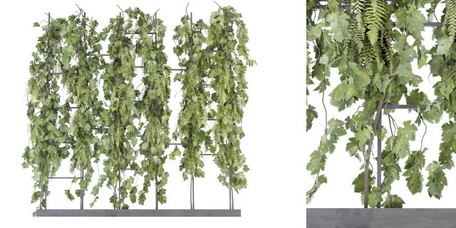 Collection Plant Vol 62 – Blender-Modell 3D Modell .c4d .max .obj .3ds .fbx .stl .blend 