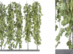 Collection Plant Vol 62 - Blender Model Modello 3D