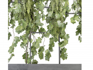 Collection Plant Vol 62 – Blender-Modell 3D Modell