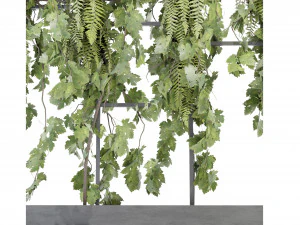 Collection Plant Vol 62 - Blender Model 3D Model