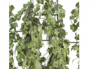 Collection Plant Vol 62 – Blender-Modell 3D Modell