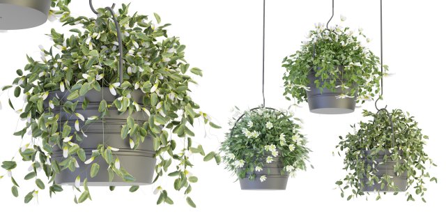 Collection Plant Vol 66 - Blender Model 3D Model .c4d .max .obj .3ds .fbx .stl .blend 