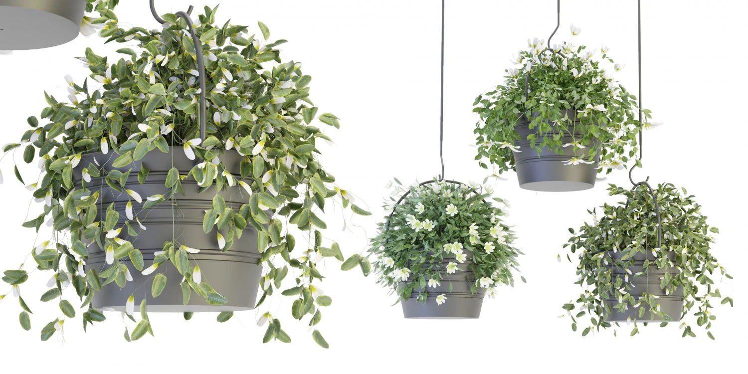Collection Plant Vol 66 - Blender Model 3D Model .c4d .max .obj .3ds .fbx .stl .blend 