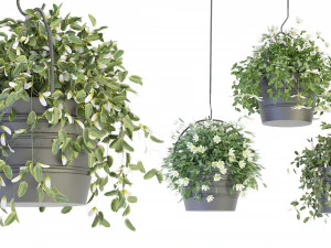 Coleção Plant Vol 66 - Modelo Blender Modelo 3D