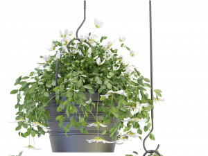 Collection Plant Vol 66 - Blender Model 3D Model