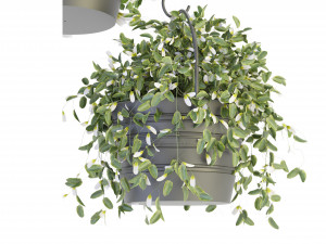 Collection Plant Vol 66 - Blender Model 3D Model