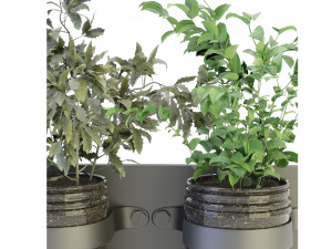 Collection Plant Vol 67 - Blender Model Modelo 3D