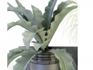 Collection Plant Vol 67 - Blender Model Modelo 3D