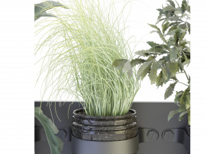 Collection Plant Vol 67 - Blender Model Modelo 3D