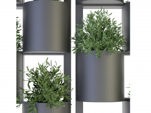 Collection Plant Vol 68 - Blender Model Modello 3D