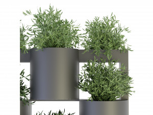 Collection Plant Vol 68 - Blender Model Modello 3D