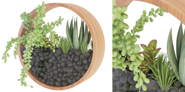 Collection Plant Vol 69 - Blender Model 3D 模型 .c4d .max .obj .3ds .fbx .stl .blend 