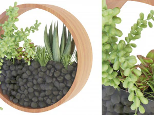 Coleção Plant Vol 69 - Modelo Blender Modelo 3D