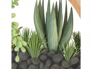 Collection Plant Vol 69 - Blender Model 3D 模型