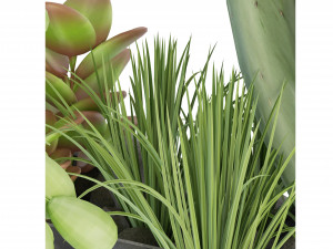 Collection Plant Vol 69 - Blender Model 3D 模型